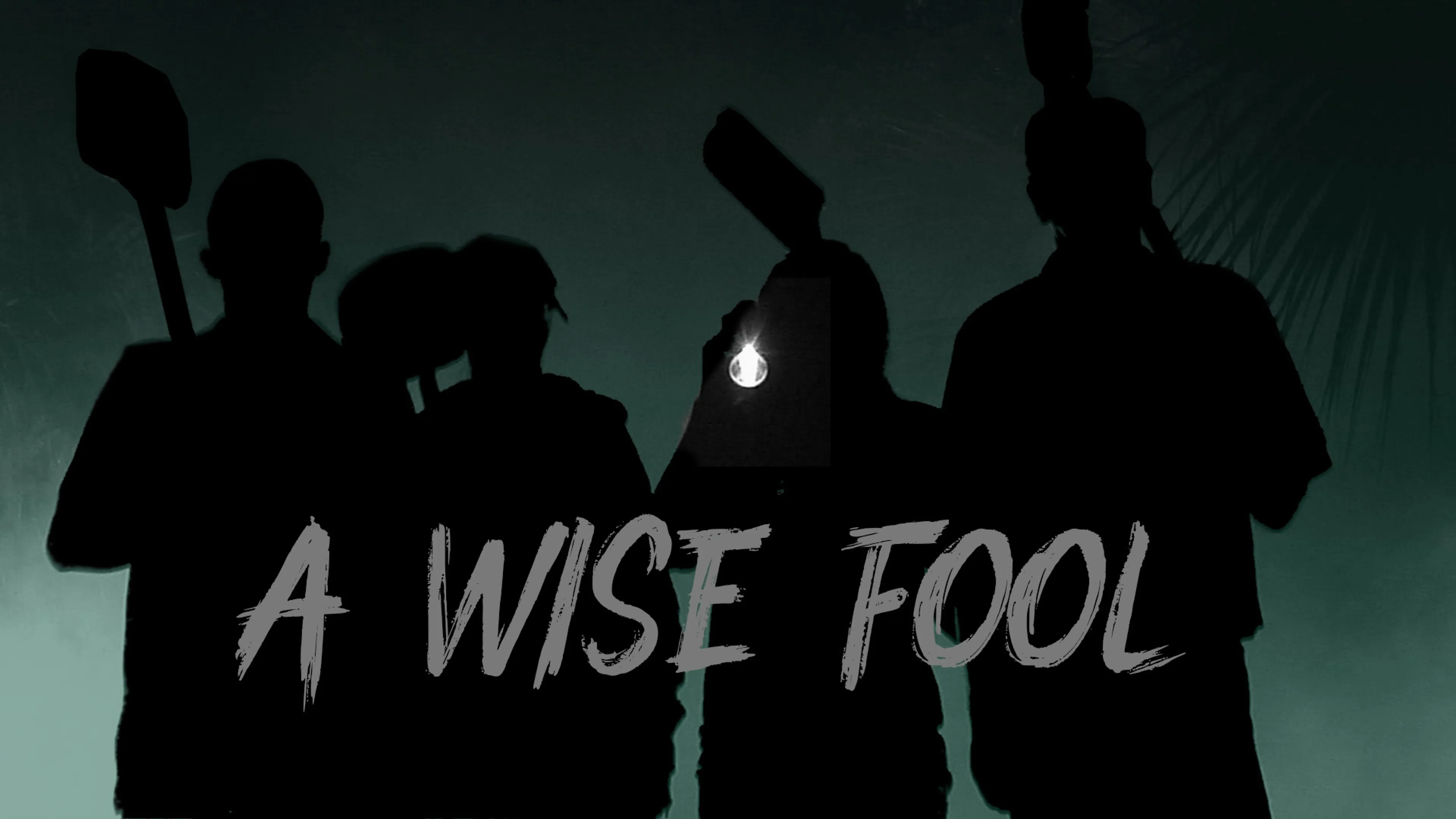 A Wise Fool poster